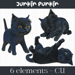 CU Pack - Lil Black Kitten