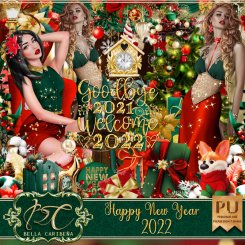 Happy 2022 (TS-PU)