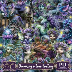 Dreaming A True Fantasy (TS-PU)