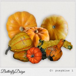 CU Pumpkins 1 by ButterflyDsign