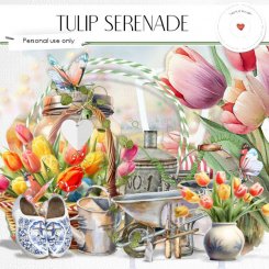 Tulip serenade