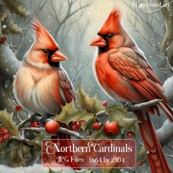Northern Cardinals (FS/CU)