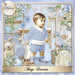 Boys Dreams