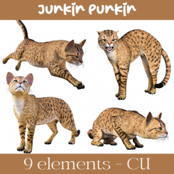 CU Pack - Spotted Cats