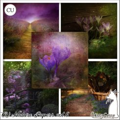 CU nature papers vol.6 by KittyScrap
