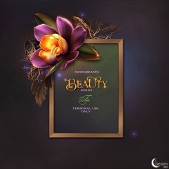 Moonbeam's "Beauty" (FS/PU)