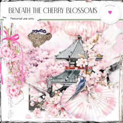 Beneath the cherry blossoms