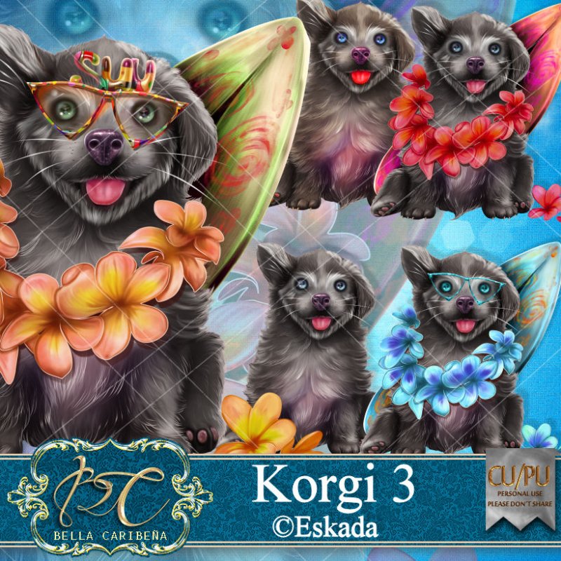 Korgi 3 (FS_CU) - Click Image to Close