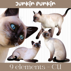 CU Pack - Siamese Cats