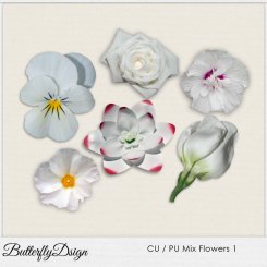CU Mix Flowers 1 by ButterflyDsign