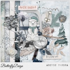Mini Kit Arctic Tundra by ButterflyDsign