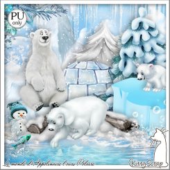 mini kit le monde d'Appolinaire l'ours polaire