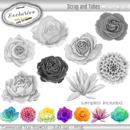 EXCLUSIVE ~ Grayscale Flowers 1
