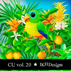 IKH Designs CU vol.20