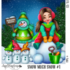 Snow Much Snow #1 (FS/CU)