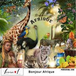 Bonjour Afrique by Louise L