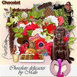 Chocolate delicacies Kit (FS/PU)