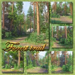 Forest trail (FS/CU)