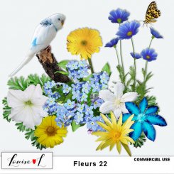 Fleurs 22 by Louise L