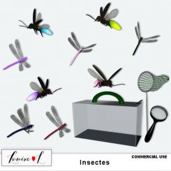Insectes by Louise L