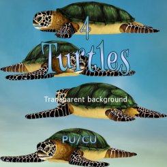 Turtles clipart (FS/CU)