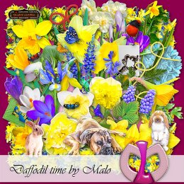 Daffodil time kit (FS/PU)