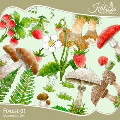 Forest 01 CU