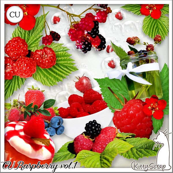 CU raspberry vol.1 de KittyScrap - Click Image to Close