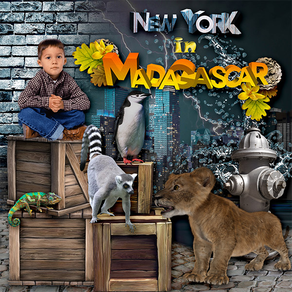 kit madagascar in new york by kittyscrap - Click Image to Close