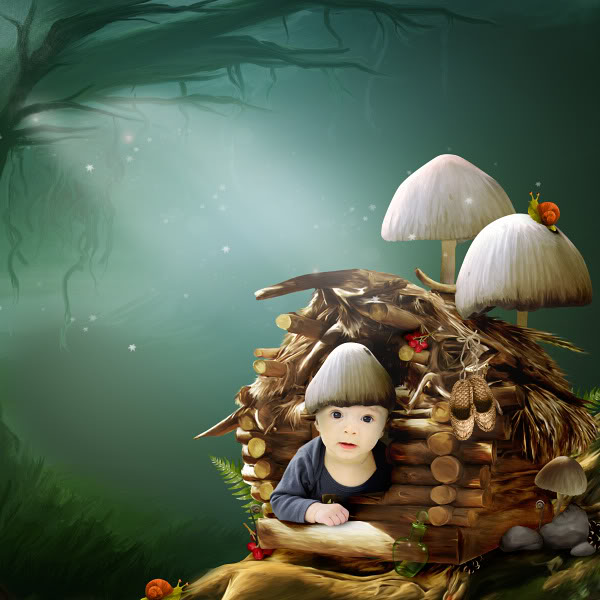 Fairy Forest Kit (FS/PU) - Click Image to Close