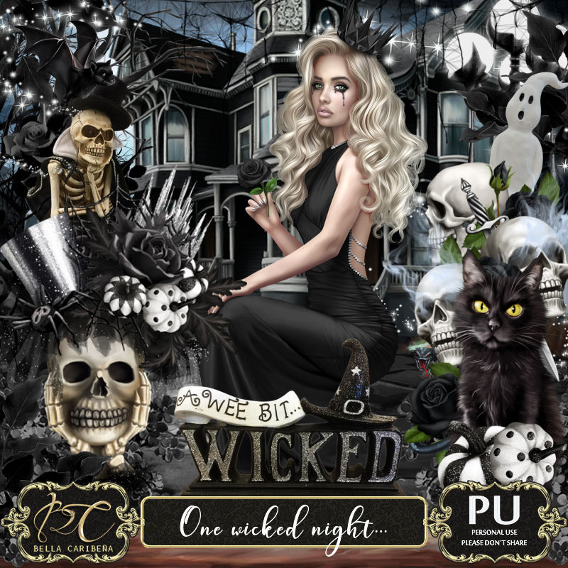 One Wicked Night (TS-PU) - Click Image to Close