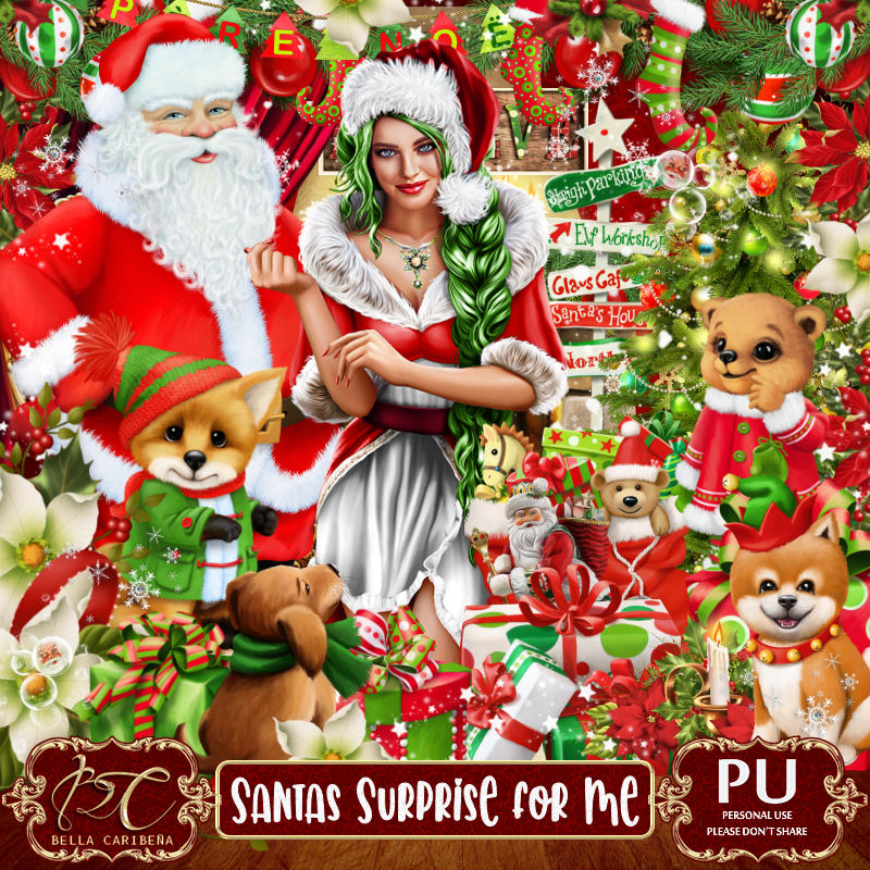 Santas Surprise For Me (TS-PU) - Click Image to Close