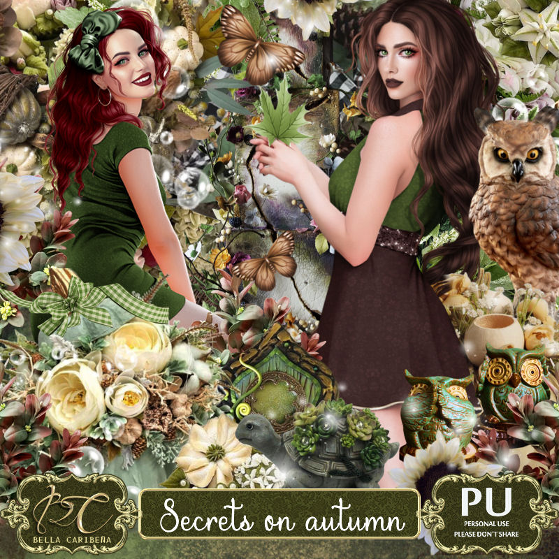 Secrets on autumn (TS-PU) - Click Image to Close