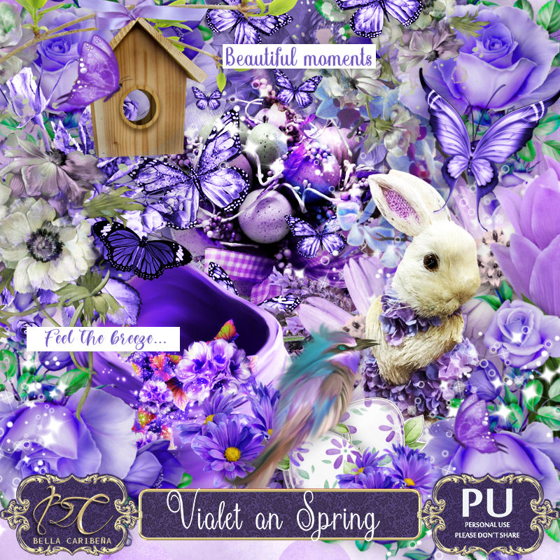 Violet on Spring (TS-PU) - Click Image to Close