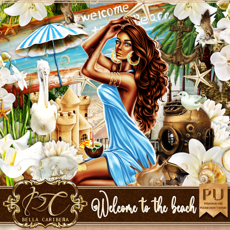 Welcome to the Beach (TS_PU) - Click Image to Close