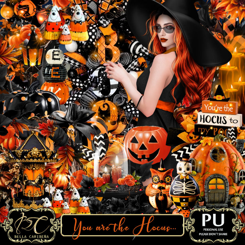 You are the hocus... (TS-PU) - Click Image to Close