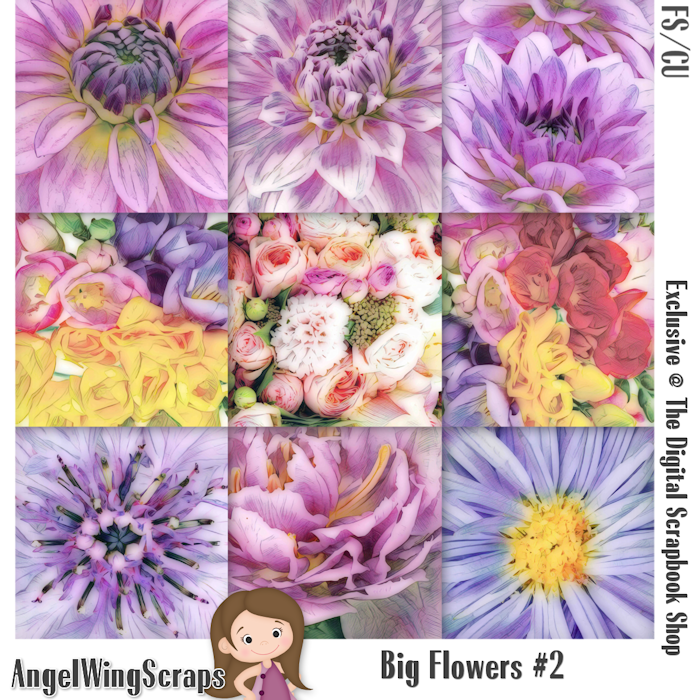 Big Flowers #2 (FS/CU) - EXCLUSIVE - Click Image to Close