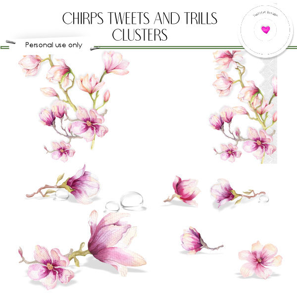 Chirps tweets and trills - Click Image to Close
