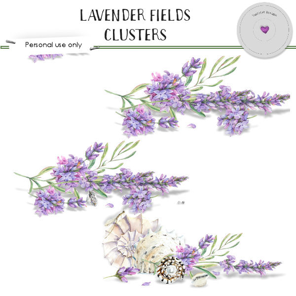 Lavender fields - Click Image to Close