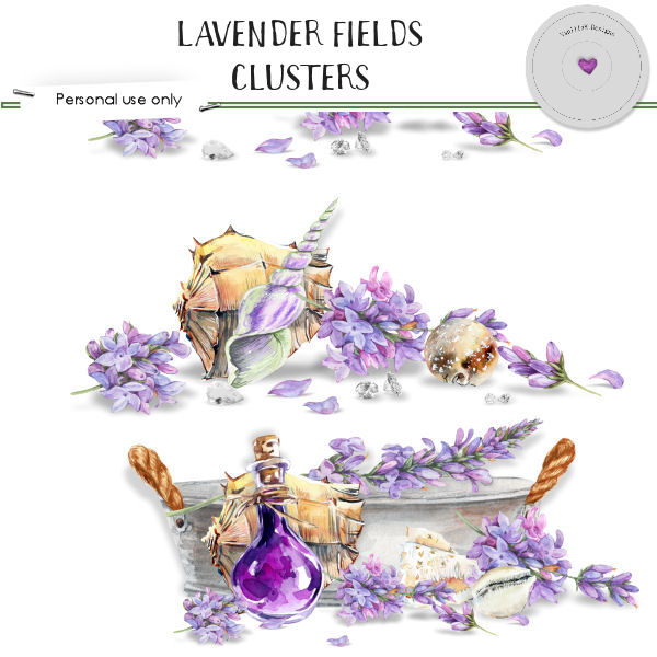 Lavender fields - Click Image to Close