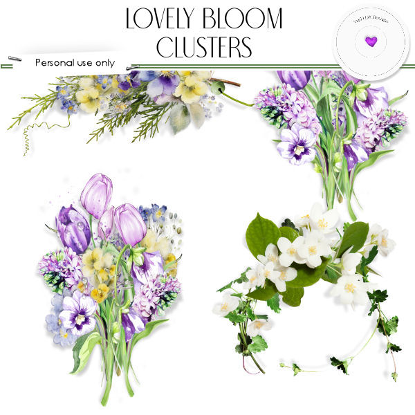Lovely bloom - Click Image to Close