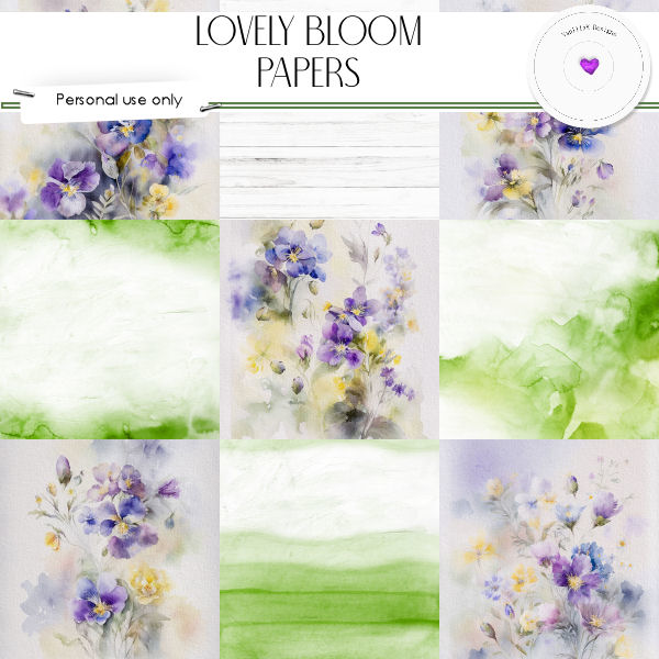 Lovely bloom - Click Image to Close