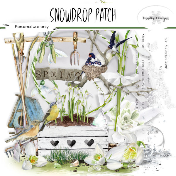 Snowdrop patch - Click Image to Close